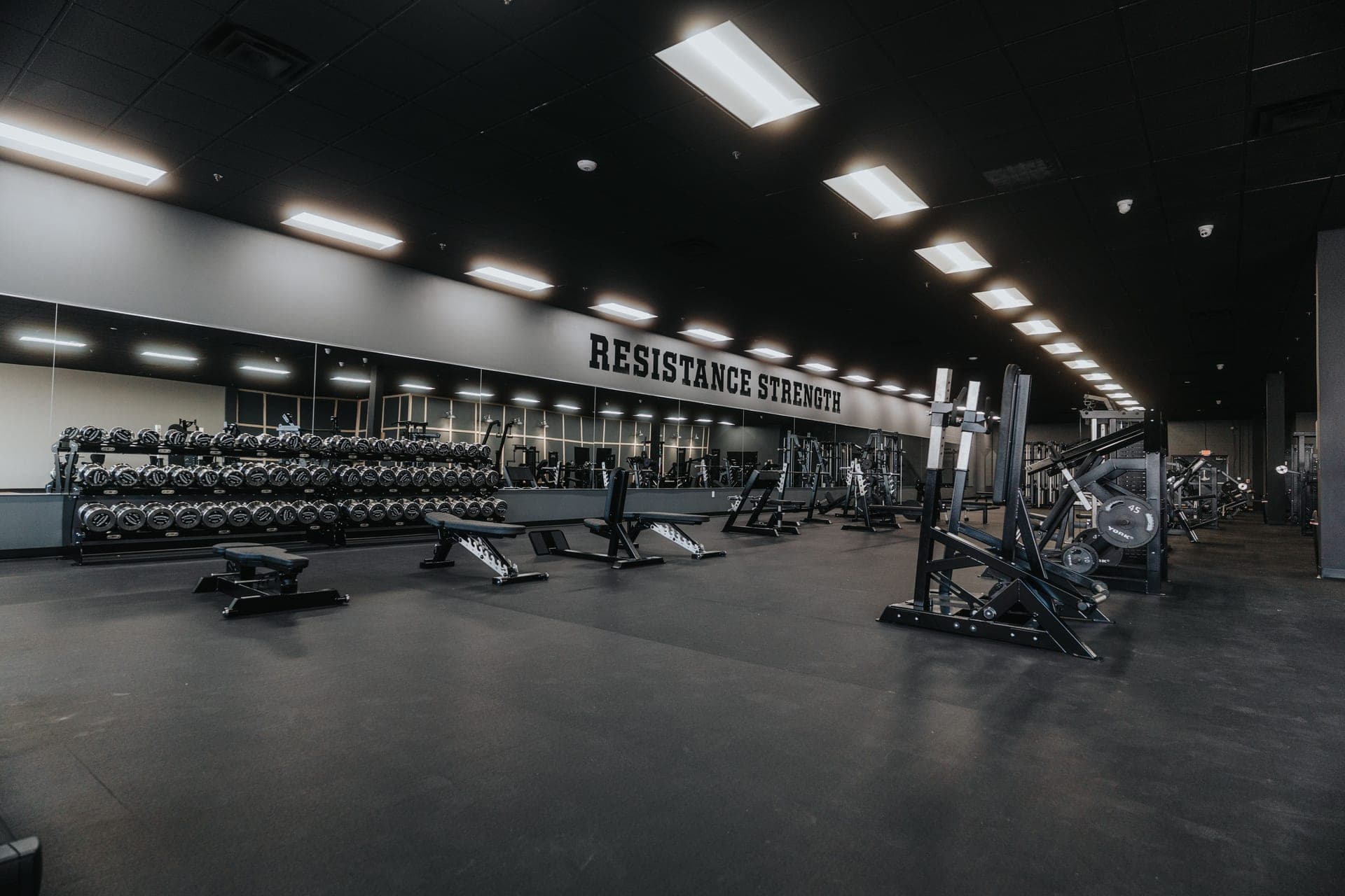 Commercial-grade dumbbells at Resistance Strength Allentown PA